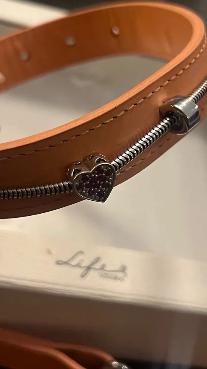 Coleira/Guia LIFE VIVARA  - Foto 5