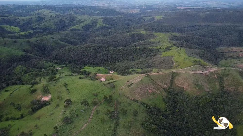 FAZENDA COM 273HEC PRA GADO, MONTADA - Foto 2