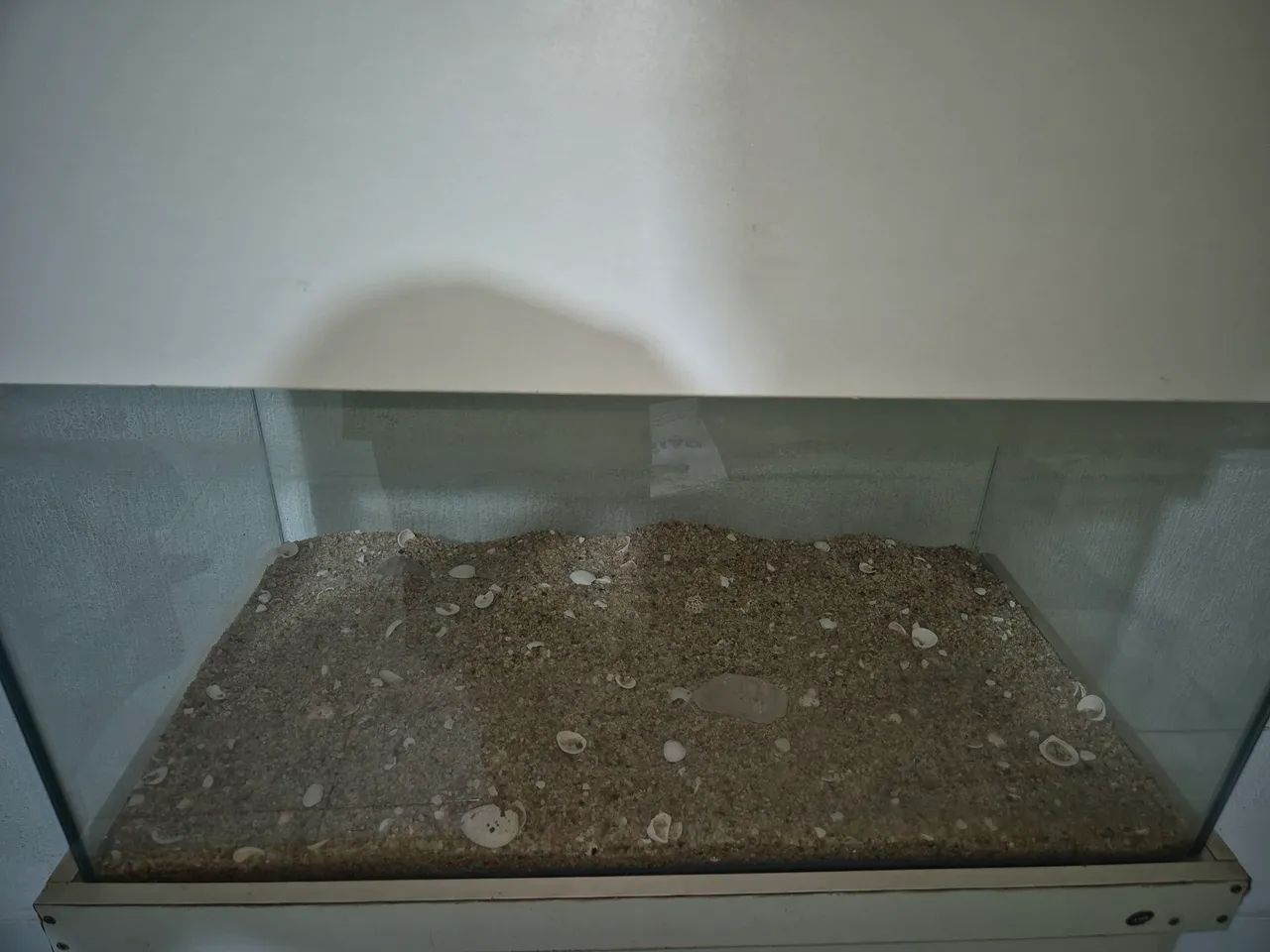 Aquário com suporte  - Foto 6