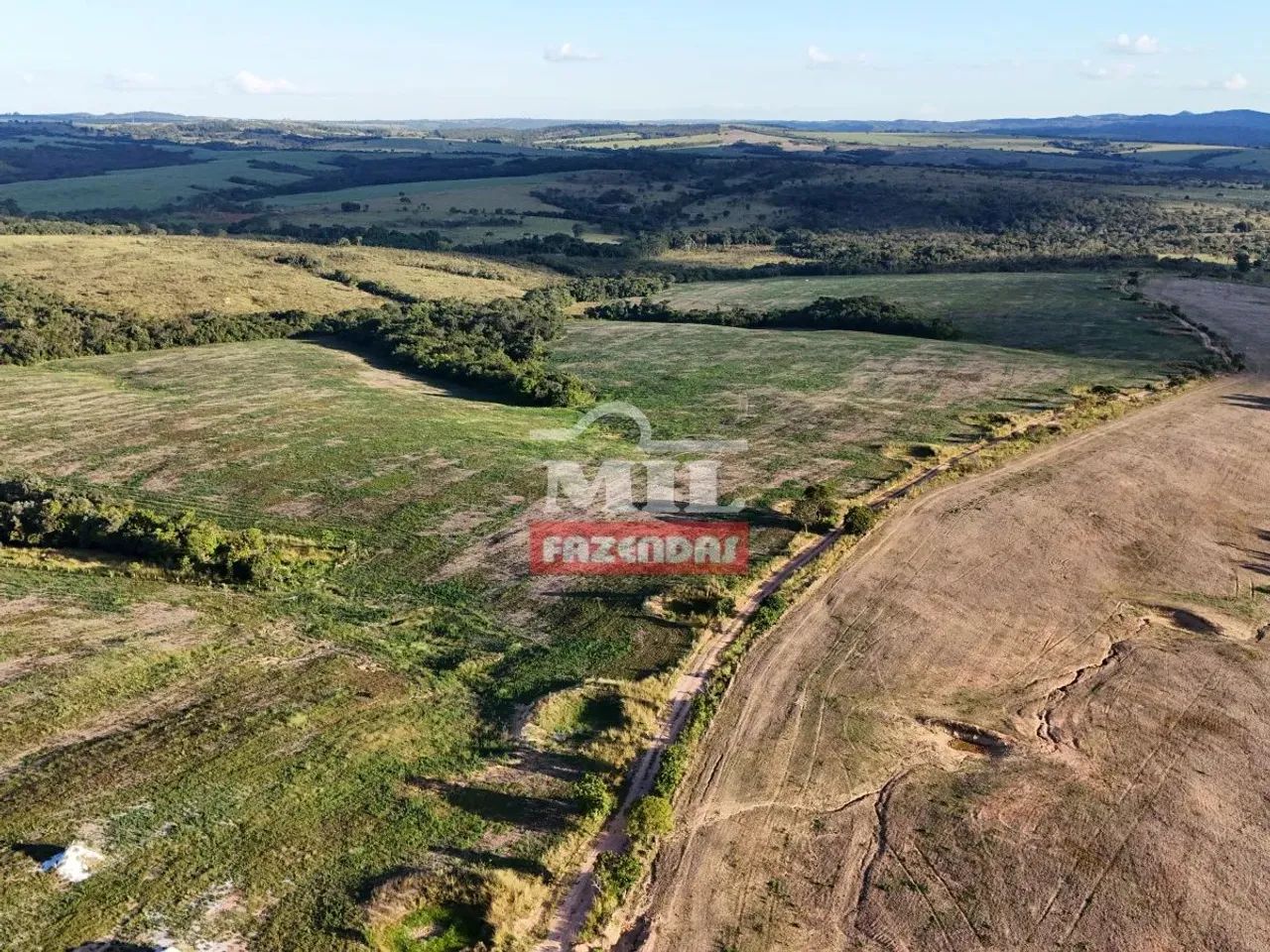 Fazenda 103 alqueires ( 498.5 hectares ) Ipameri-GO - Foto 2