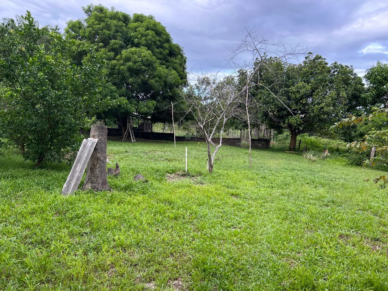 Venda  - Foto 4