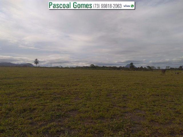 95 % Plana, Prado, Bahia - Foto 10