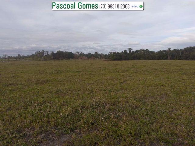 95 % Plana, Prado, Bahia - Foto 9