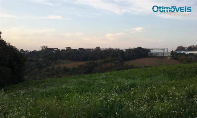 Área à venda, colônia zacarias, são josé dos pinhais - ar0002. - Foto 8