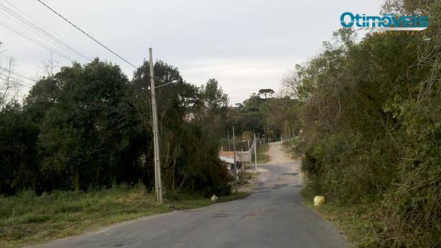 Área comercial à venda, itália, são josé dos pinhais - ar0003. - Foto 3
