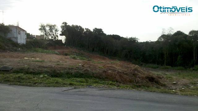 Área comercial à venda, itália, são josé dos pinhais - ar0003. - Foto 7
