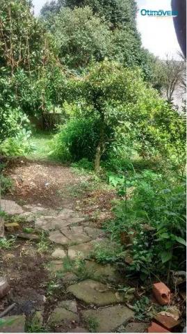 Terreno zr4 à venda, costeira, são josé dos pinhais. - Foto 5