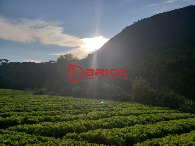 Maravilhosa fazenda com excelente potencial comercial em albuquerque. - Foto 20