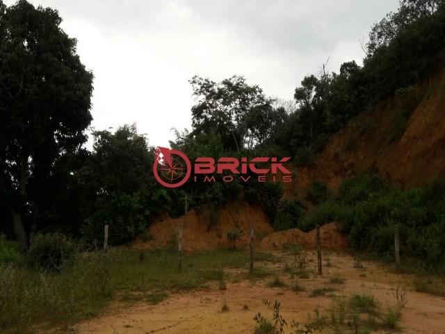 Terreno com 40.000m² e com 5.000 pés de eucalipto em papucaia - Foto 5