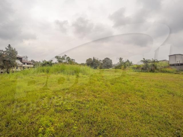 Terreno com aproximadamente 2.500 m², no bairro badenfurt . - Foto 14