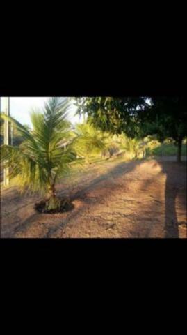 Chácara para Venda em Presidente Prudente, ZONA RURAL - Foto 5