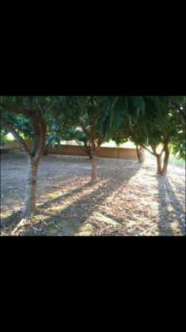 Chácara para Venda em Presidente Prudente, ZONA RURAL - Foto 6