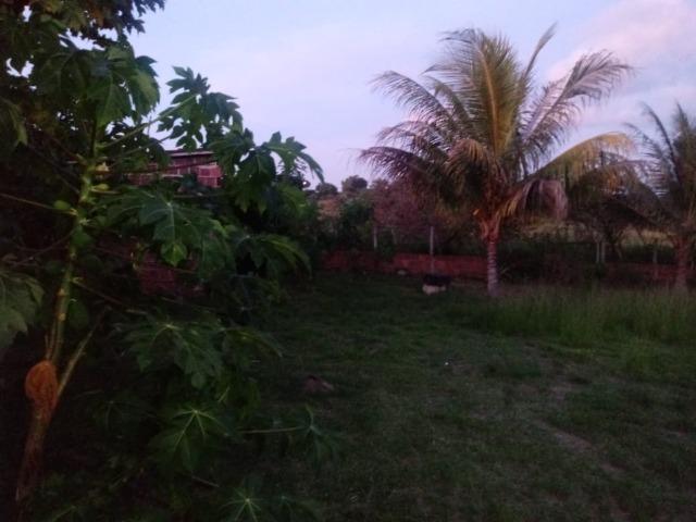 Chácara de 2.400 m², escriturada, contendo casa sede, próximo à Sadia, em Vitória-PE - Foto 17