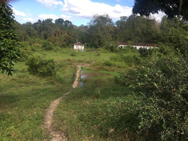 Fazenda - Barro Preto