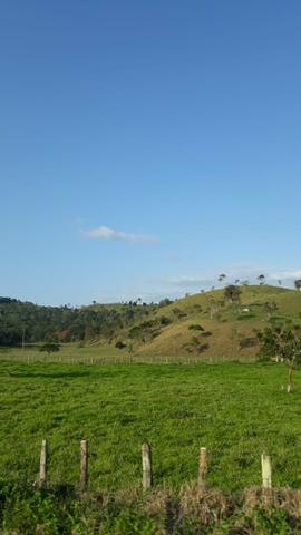 Casas, Sitio, fazenda e terrenos - Foto 5