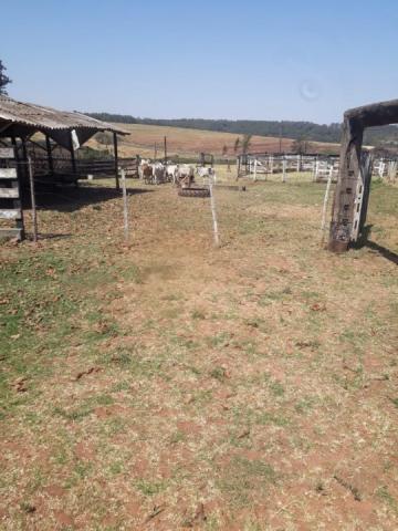 8062 | Chácara à venda em Chácara Marrom, Astorga - Foto 9