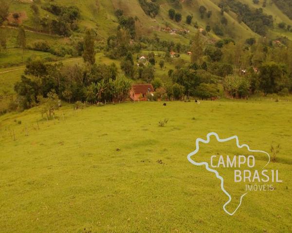 Oportunidade rural! Sítio de 8,5 alqueires todo aproveitável! - Foto 8