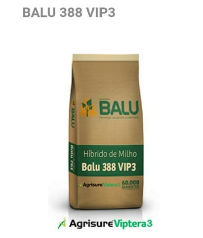 Sementes de Milho