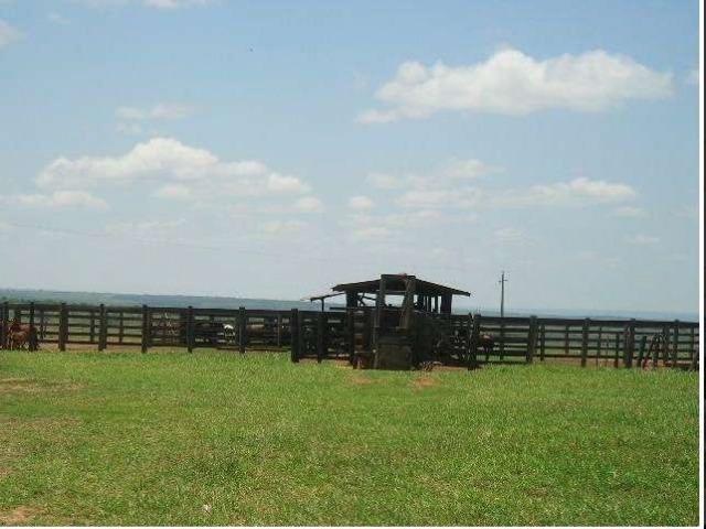 580 Hectares - 240 Alqueires - Fazenda Sede - Lapa - Foto 8