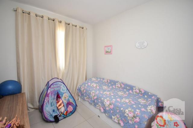 Apartamento à venda com 3 dormitórios em Havaí, Belo horizonte cod:239892 - Foto 10
