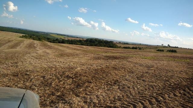 234 Hectares - 97 Alqueires - Planta 52 Alqueires - Palmeira - Foto 5