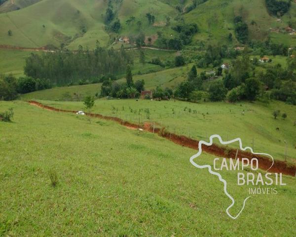 Oportunidade rural! Sítio de 8,5 alqueires todo aproveitável! - Foto 3
