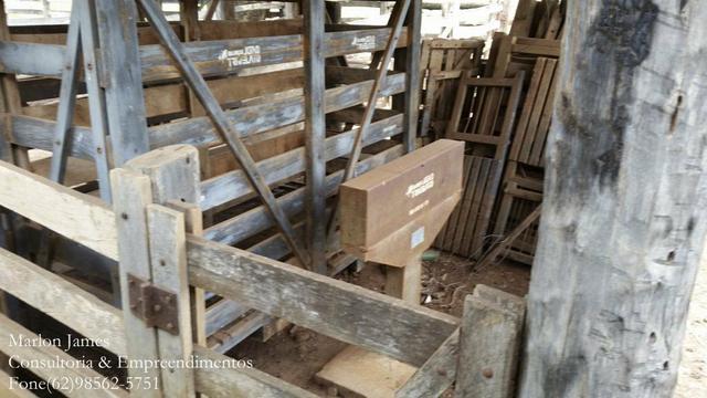 Fazenda em Porangatu!! - Foto 9