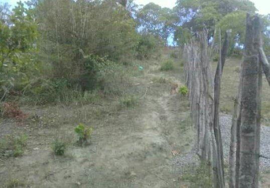 Terreno Itamaracá - Foto 2