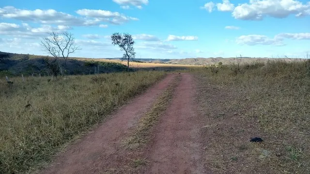 Fazenda 70ha dentro de Brasília! no Altiplano Leste-Rio dentro da propriedade