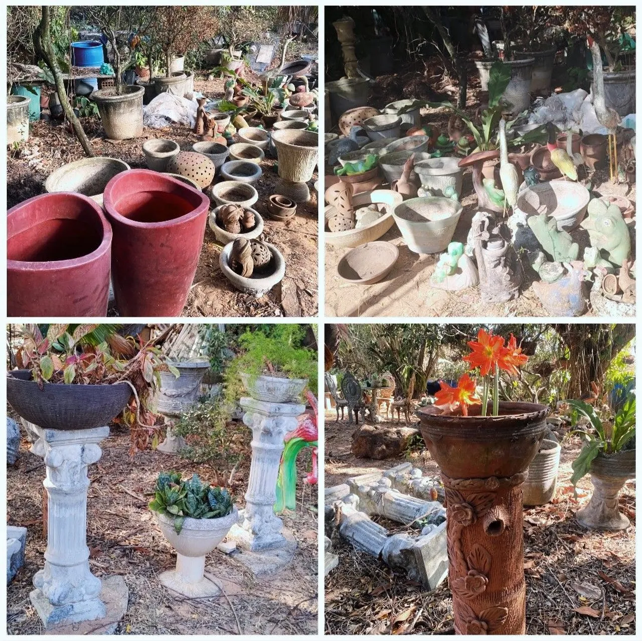 Jarros, colunas, bonsais e decorativos