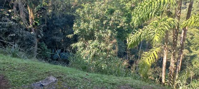 Chacara  Pedro de Toledo SP - Foto 4