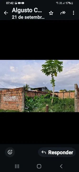 foto - Manaus - Alvorada