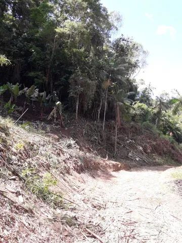 Fazenda 80 alqueires...Miracatu-SP com bananal - Foto 7