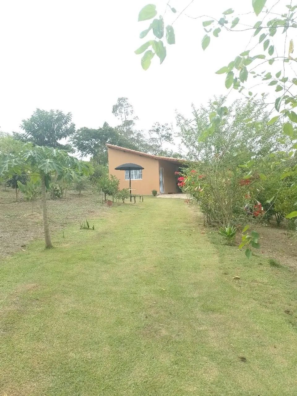 Troca-se chácara por casa em Itapetininga 