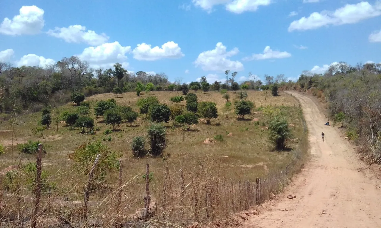 Terreno próximo Fazenda Real pra sítio no Povoado SOTURNO com casa
