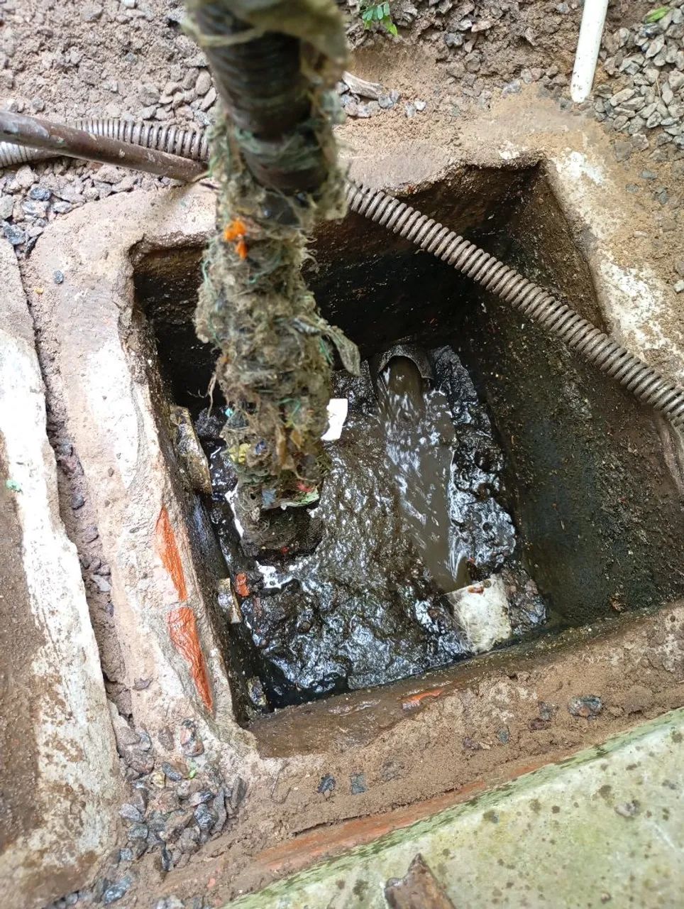 Desetupidora  - Foto 5