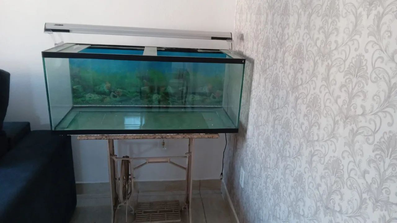 Aquário de vidro 100x40x40 cm - Foto 2