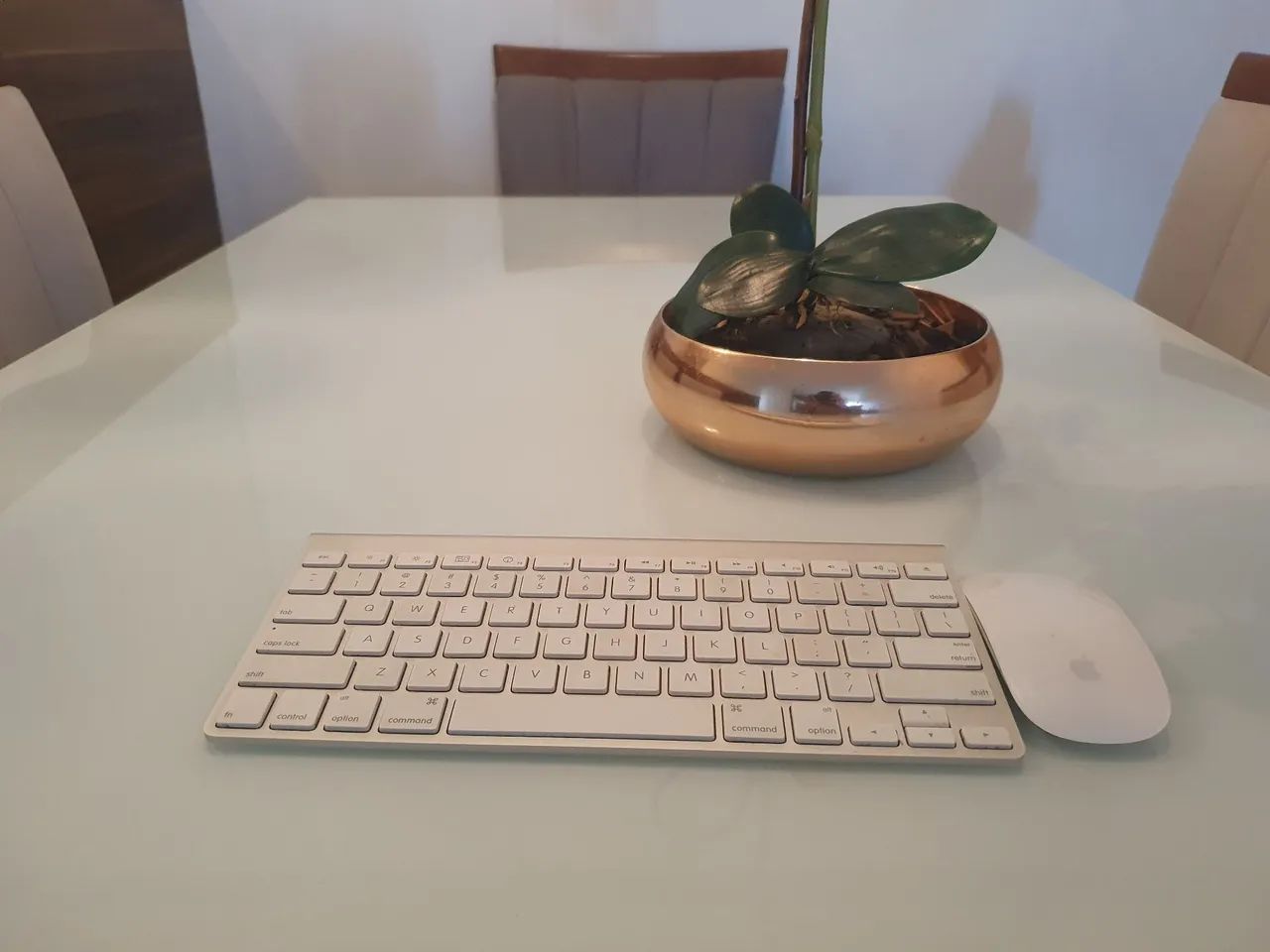 Magic keyboard (Teclado) e mouse Apple