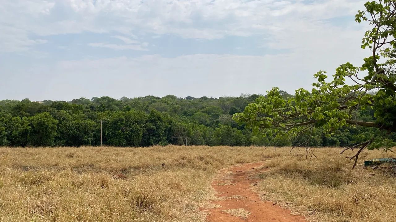 Chácaras de meio alqueire com rancho na beira do córrego! - Foto 5