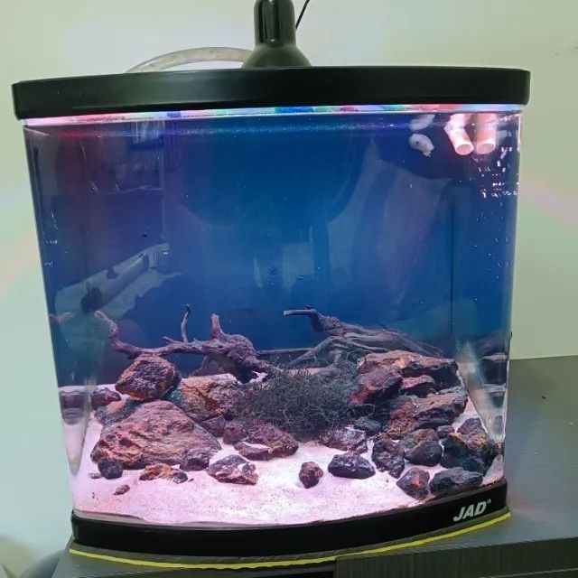 Aquário Completo JAD Boyu Mt 50 80 Litros Marinho Ou Doce - Foto 2