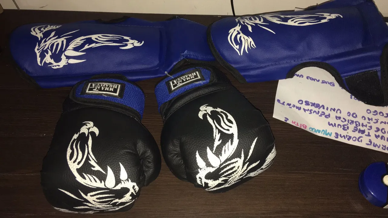 Kit de Muay Thai - Luvas e Caneleiras