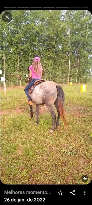 Vendo cavalo  - Foto 2