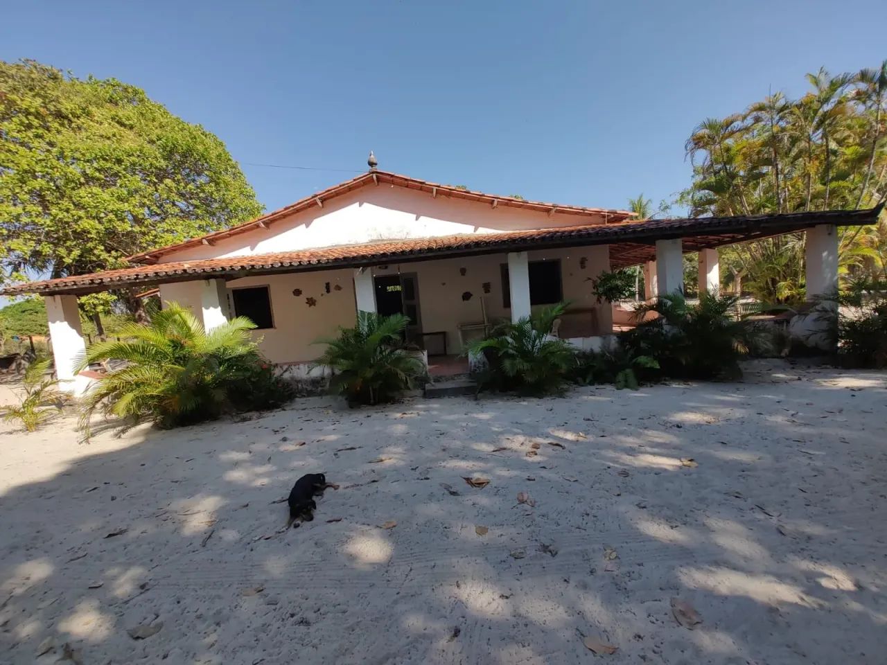 CHÁCARA NA PATACAS EM AQUIRAZ - Foto 3