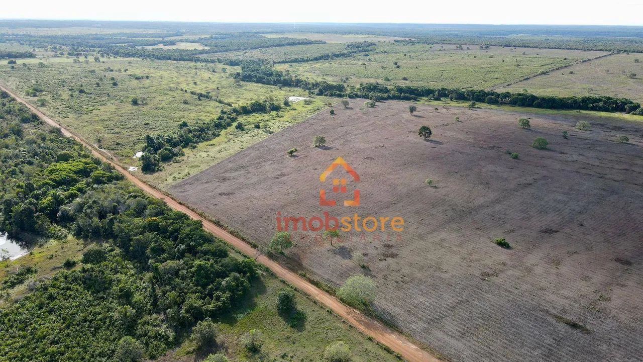 Fazenda à venda de 890 hectares com Potencial Agrícola; Próximo a Cristalândia - TO - Foto 2