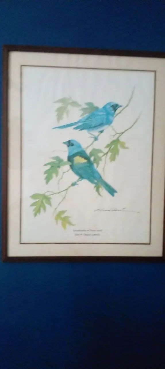 Quadro par de andorinhas - Foto 2