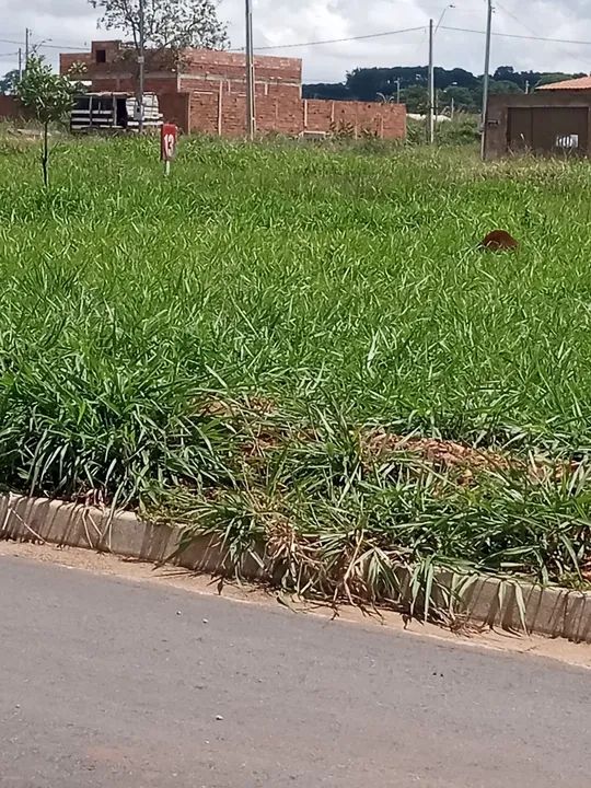 Vendo um ágio de um lote muito bom e valorizado  - Foto 5