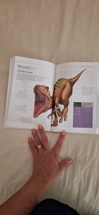 2 Livros sobre Dinossauros - O Mundo dos Dinossauros e Tudo Sobre Dinossauros - Foto 2