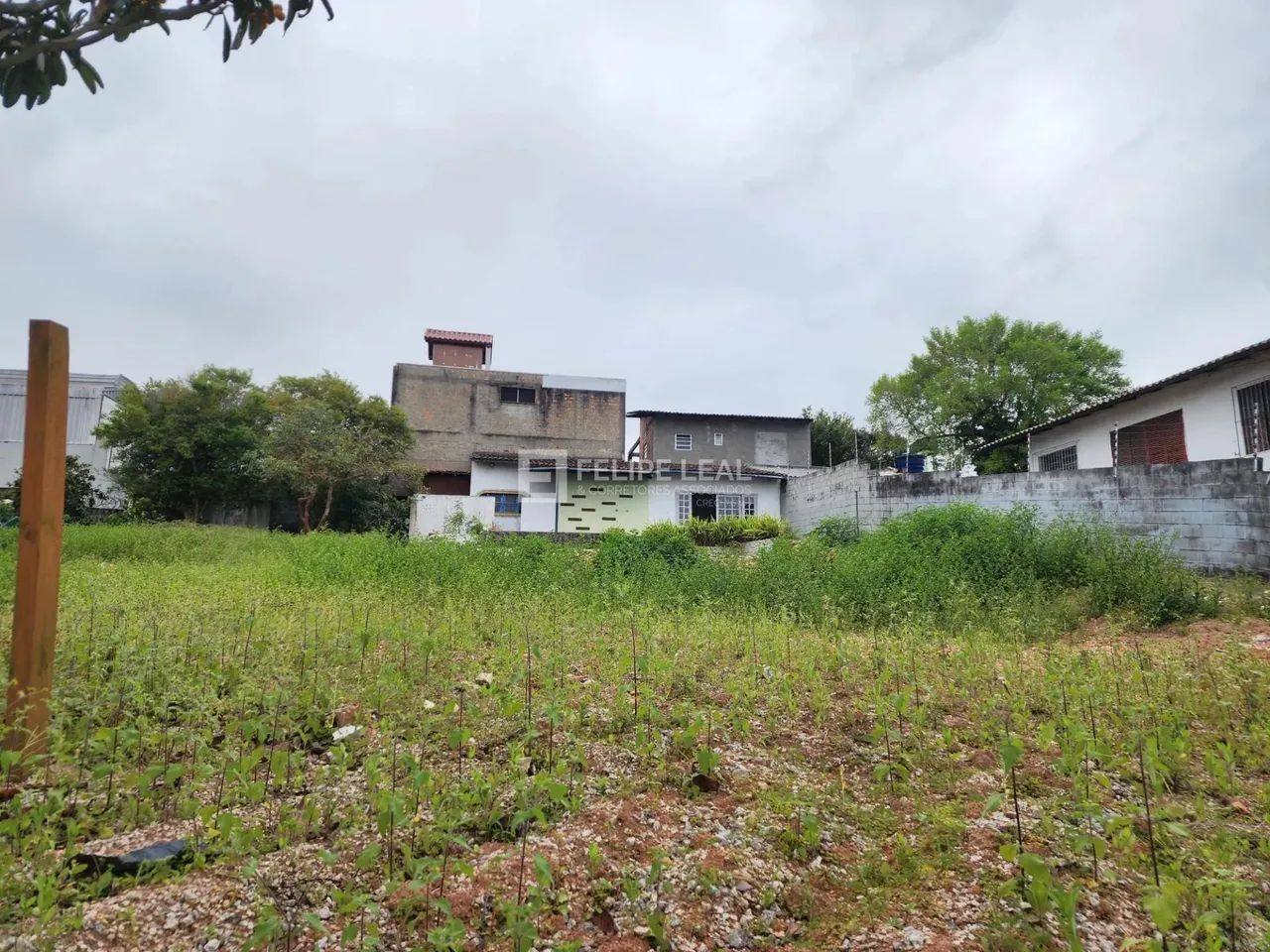 Lote / Terreno em Capoeiras - Florianópolis - Foto 5