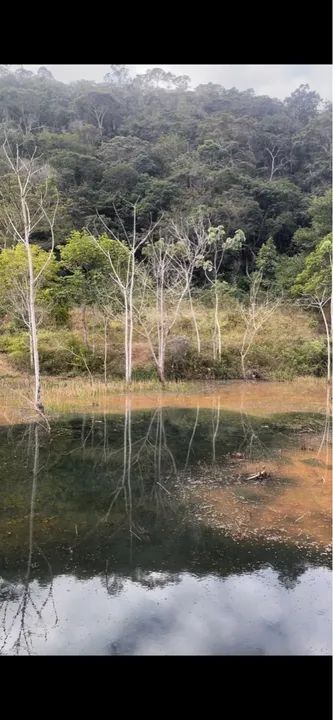 Fazenda 10 alqueires na Lajinha a 17km de Teófilo Otoni MG - Foto 2