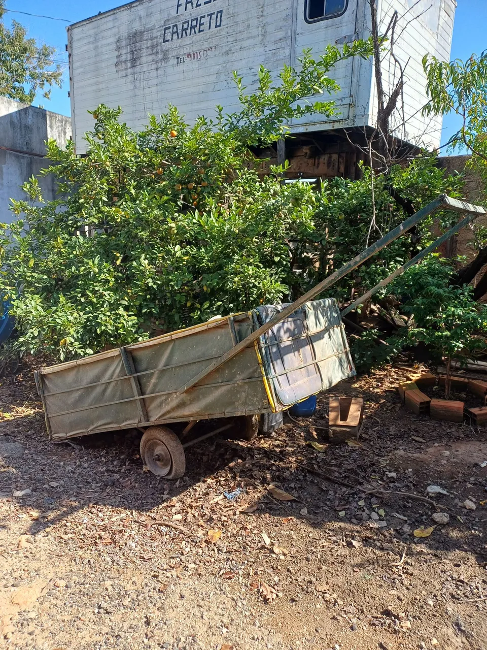 Carrinho de mão reforçado para transporte - Ótimo estado